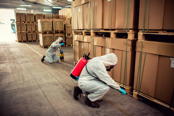 Best Termite Control Services  in White Sands, NM