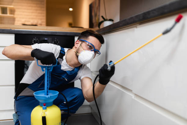 Best Mosquito Control Services  in White Sands, NM