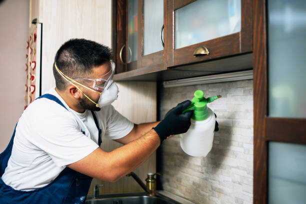 Trusted White Sands, NM Pest Control Experts