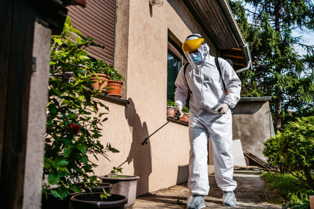 Best Pest Control Near Me  in White Sands, NM