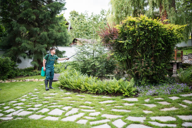 Best Wasp Removal Services  in White Sands, NM