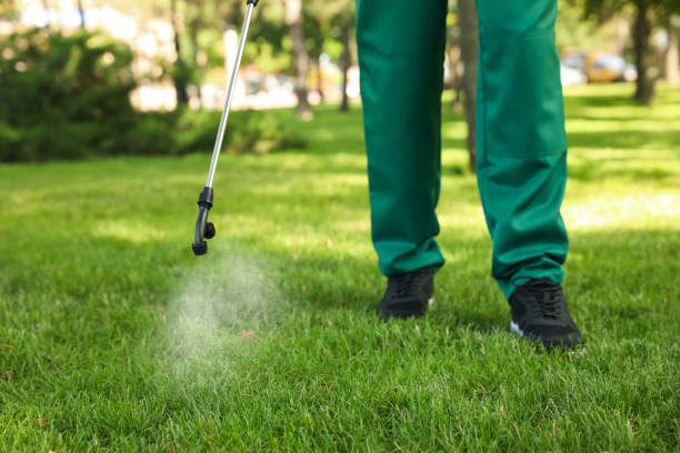 Best Mosquito Control Services  in White Sands, NM