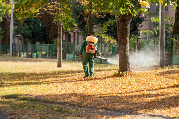 Best Local Pest Control Services  in White Sands, NM