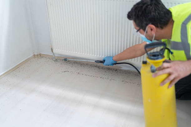 Best Pest Removal Services  in White Sands, NM