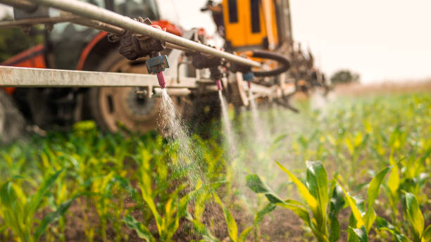 Best Ant Control Services  in White Sands, NM